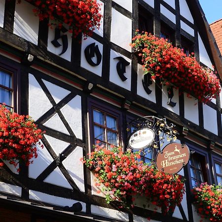 Hotel Zum Braunen Hirschen Bad Driburg Ngoại thất bức ảnh