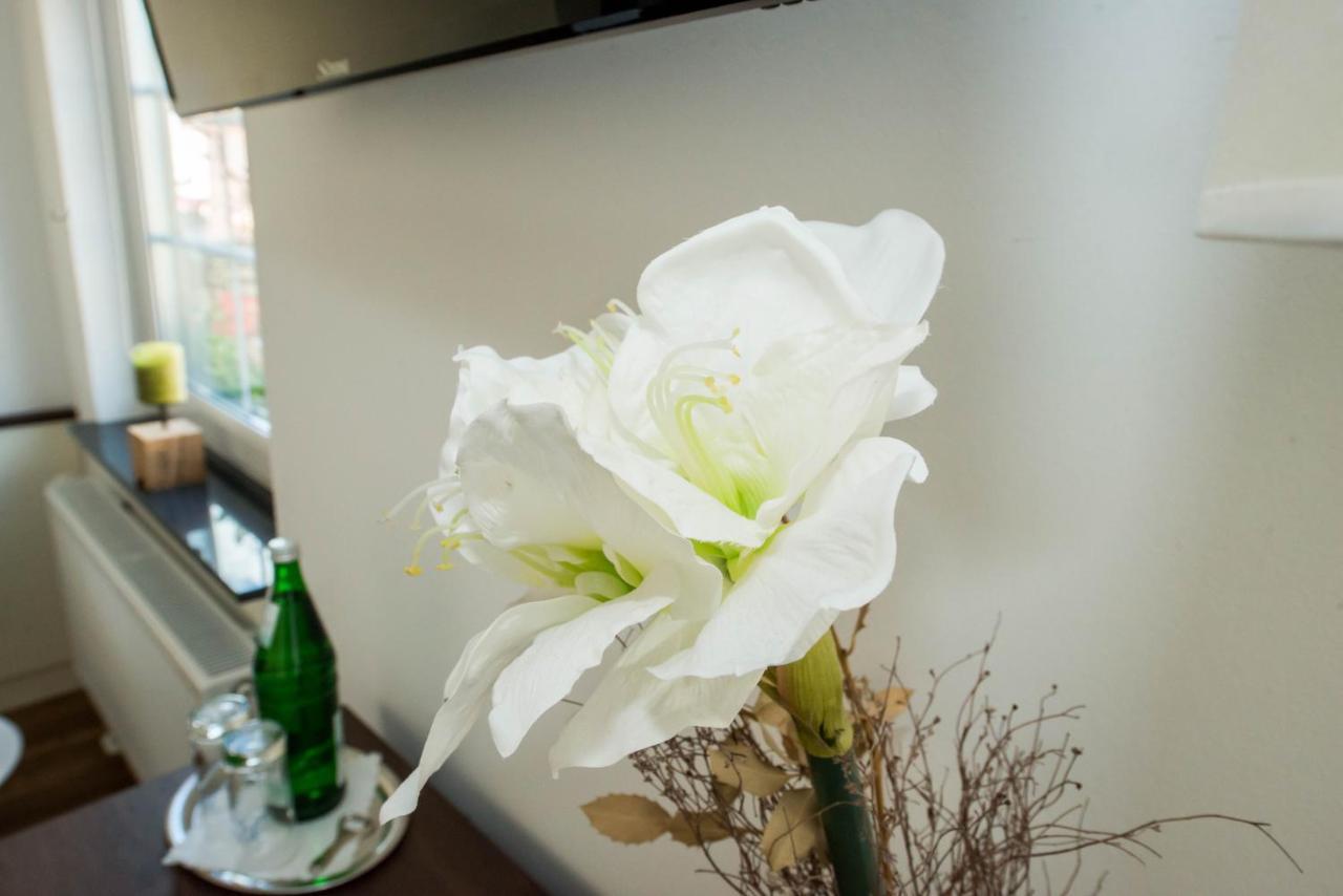 Hotel Zum Braunen Hirschen Bad Driburg Ngoại thất bức ảnh